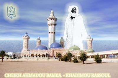 serigne.touba